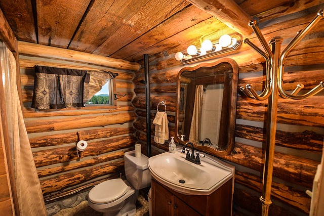 Rustic bathroom